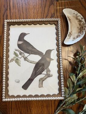 Kirklands Framed Bird Art Print